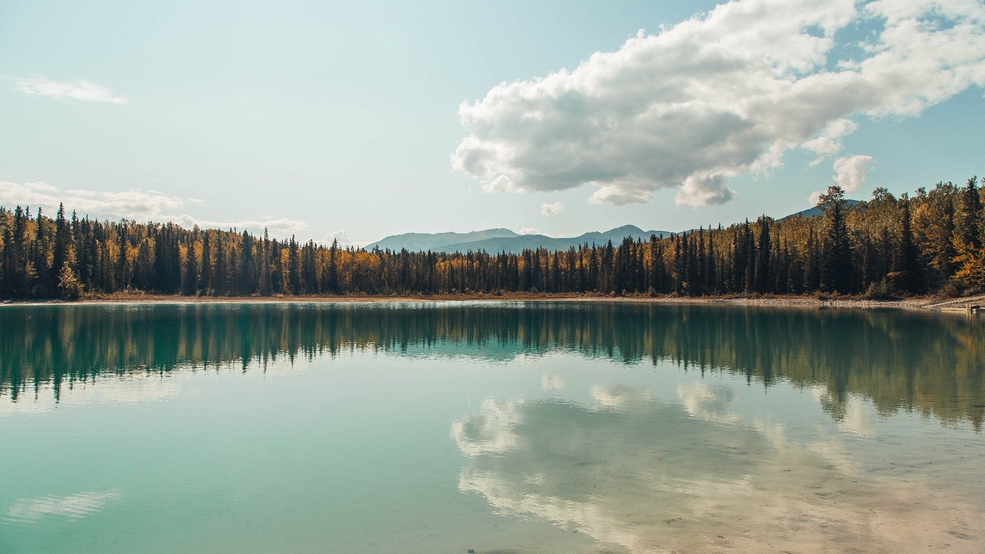 乐鱼官方登录入口-中国女篮加强阵地轮换提升团队效率，换一个中国女篮