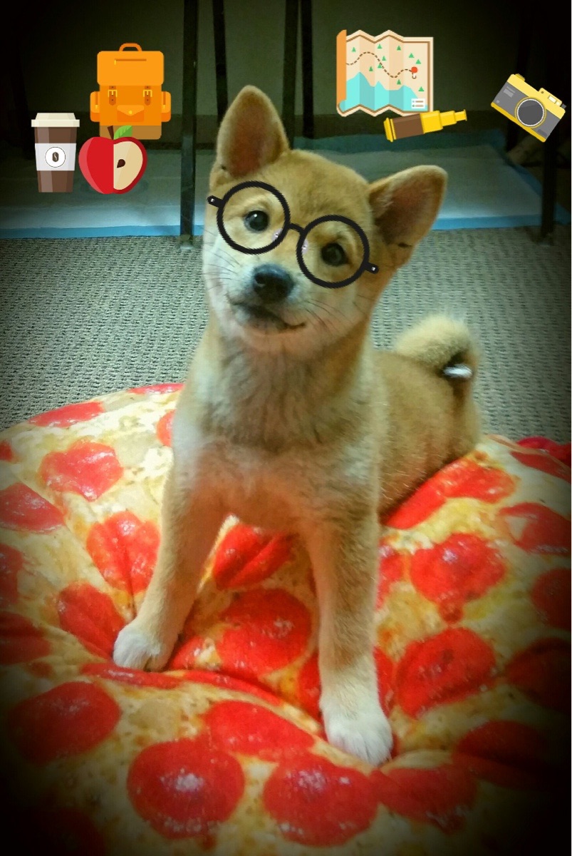 leyu乐鱼-埃及队2024年表现：用韧性与团结挑战世界强队，埃及下一场比赛会赢吗