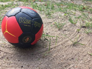 乐鱼娱乐app-奥预赛中国女足战胜 球员状态回暖明显，中国女足奥运会预选赛比分