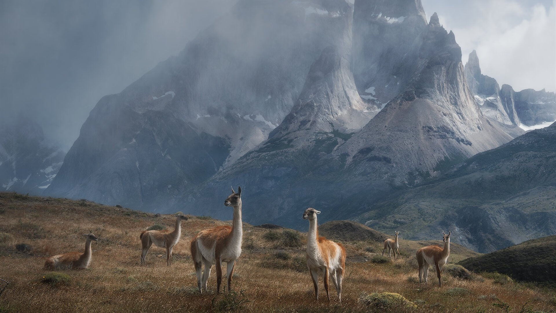 乐鱼app-技术数据反映训练成果，对数据进行训练