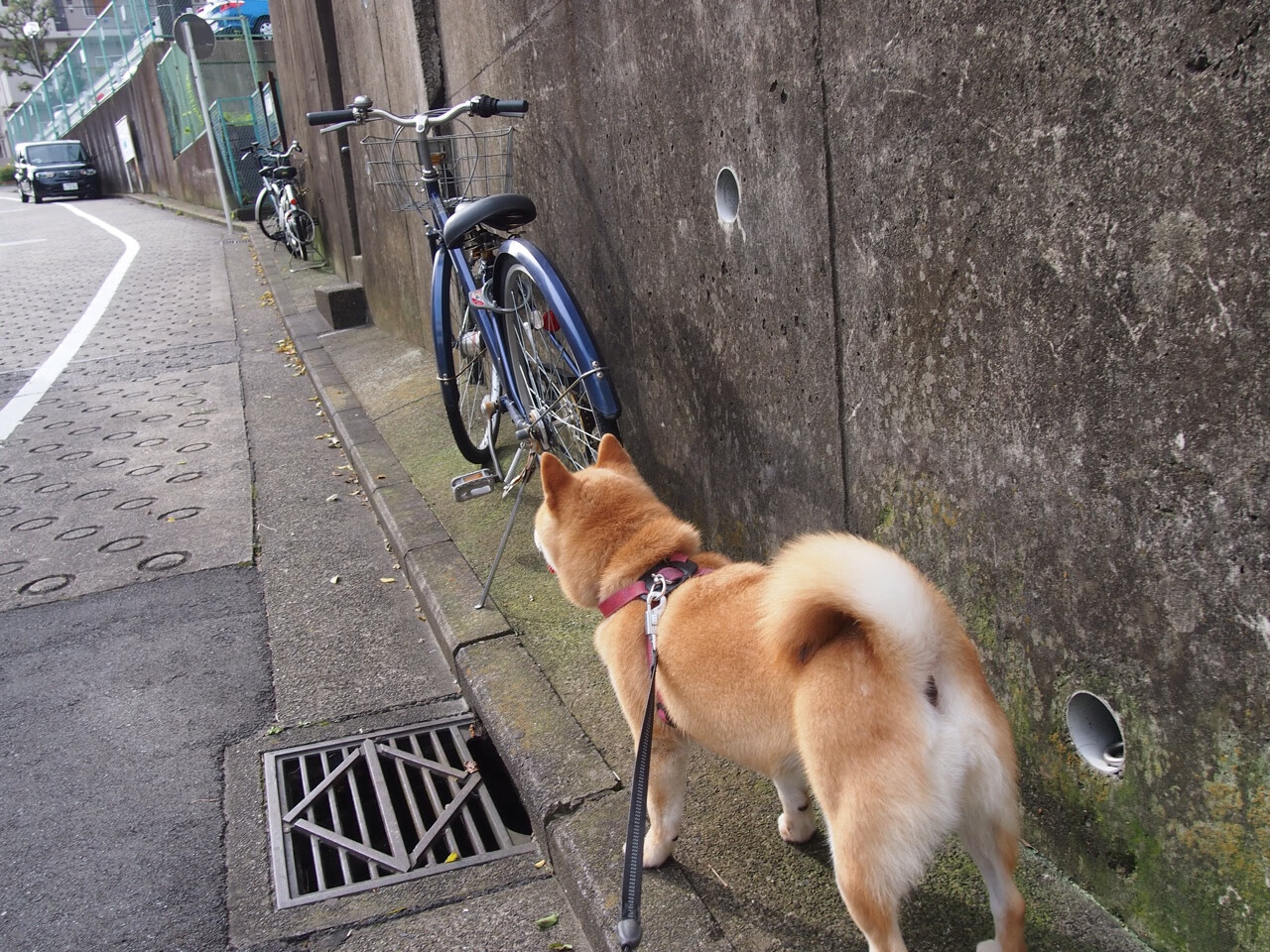 乐鱼电竞-世界杯激情继续：精彩不断，热血沸腾！，世界杯精彩瞬间视频