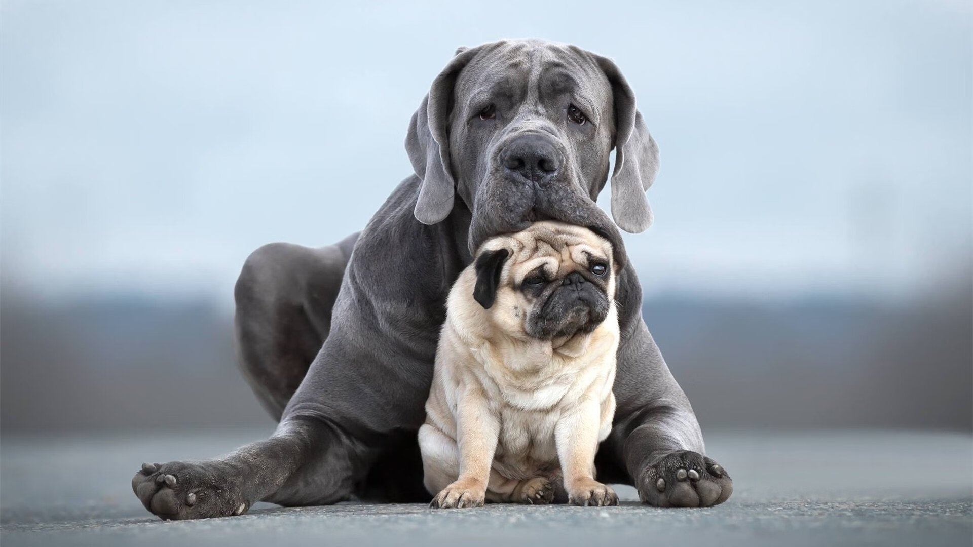 乐鱼vip-伯科夫50米仰泳决赛表现令人期待，伯科夫50米仰泳决赛表现令人期待吗