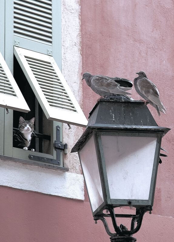 乐鱼vip-伯科夫50米仰泳决赛表现令人期待，伯科夫50米仰泳决赛表现令人期待吗