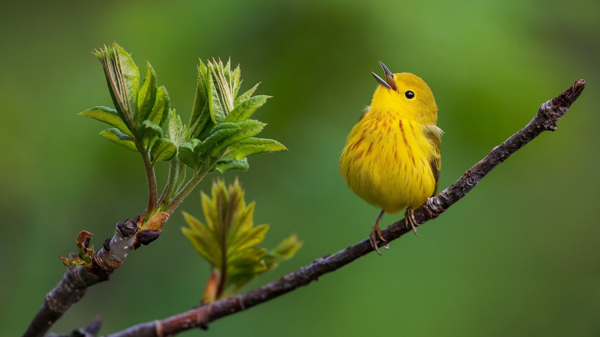 乐鱼体育-体育科研数据平台开放共享功能，体育科学网站