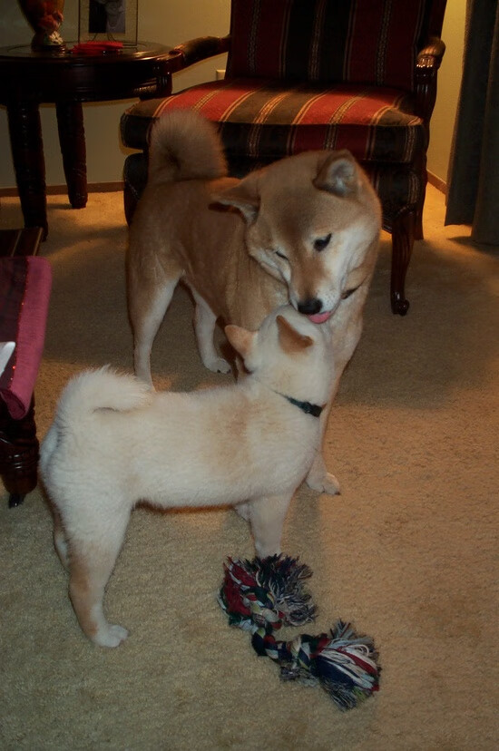 Leyu Sports (乐鱼体育)-恩多比·恩乔：带领南非队突破防线，为全队提供稳定的进攻保障