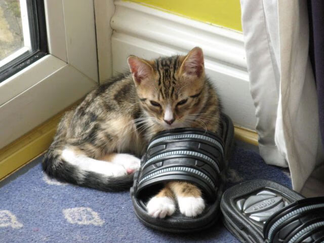 乐鱼电竞在线平台登录入口-意甲快速反击:瞬间突破,场面壮观!,意甲意甲