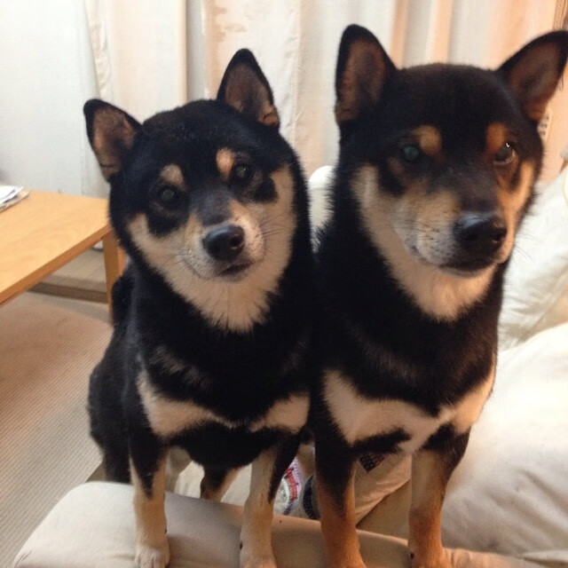 乐鱼体育(中国)官方网站-格林纳达男篮在国际邀请赛中表现亮眼,期待未来突破