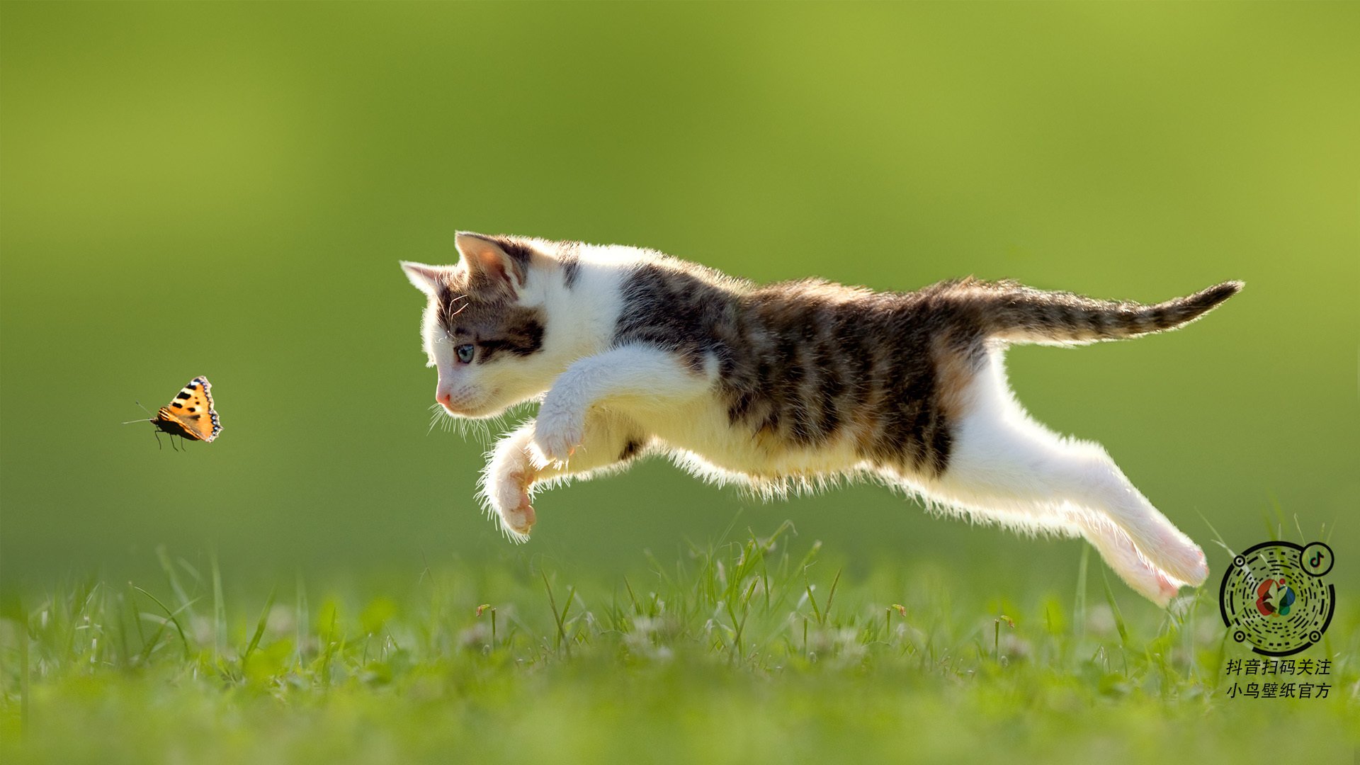 乐鱼vip-美国泳将齐心协力收获银牌