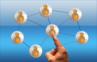 leyu乐鱼官网登录入口-职业球员互动节目越来越多提升篮球社会影响力，职业球员日常