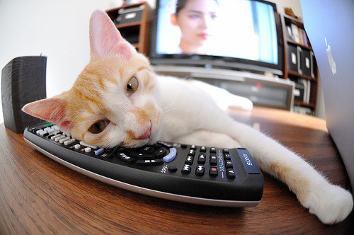 乐鱼体育APP官方下载-英国男子4×200米自由泳接力刷新赛会纪录，4×200米自由泳接力决赛