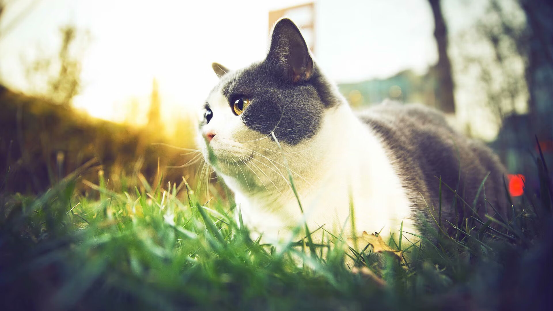 乐鱼体育App下载-50岁后别只顾存钱,这样配置资产更重要,50岁存款