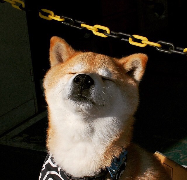 乐鱼官方登录入口-Emily Johnson 多次关键接球达阵，接球的关键动作是