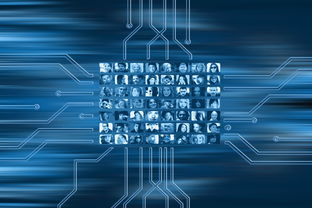 NBA球队市场营销数字化转型实践探索，nba营销模式