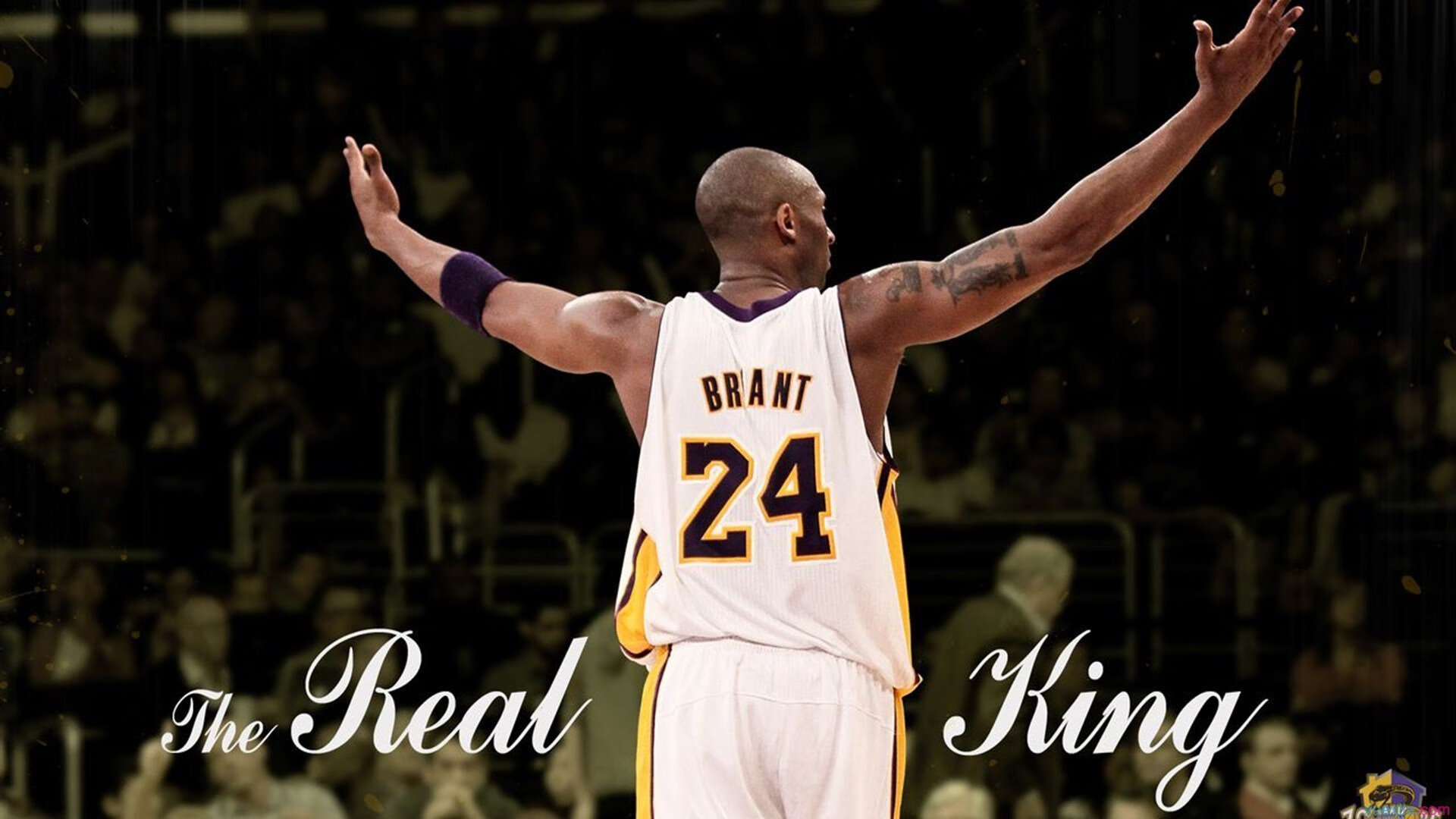 澳大利亚袋鼠队高压防守体系打乱对手进攻节奏，你知不知道澳大利亚的袋鼠打人 你知在乎你自己